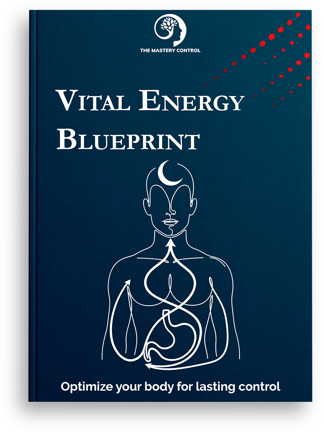 Vital Energy Blueprint